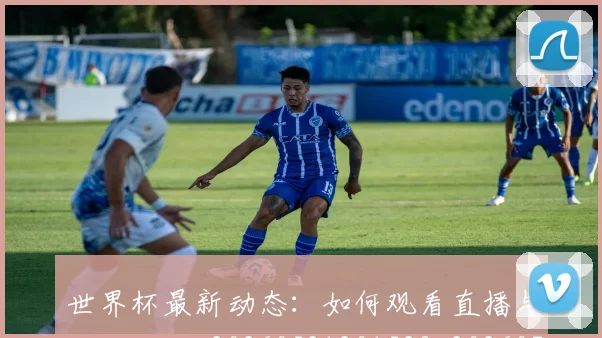 世界杯最新动态:如何观看直播与精彩回放_20260521201529_20260702174036_20260715190943