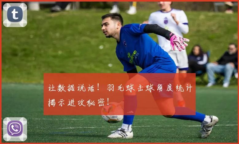 让数据说话！羽毛球击球角度统计揭示进攻秘密！