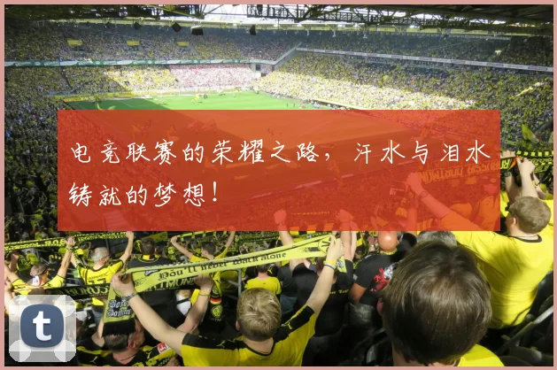 电竞联赛的荣耀之路，汗水与泪水铸就的梦想！