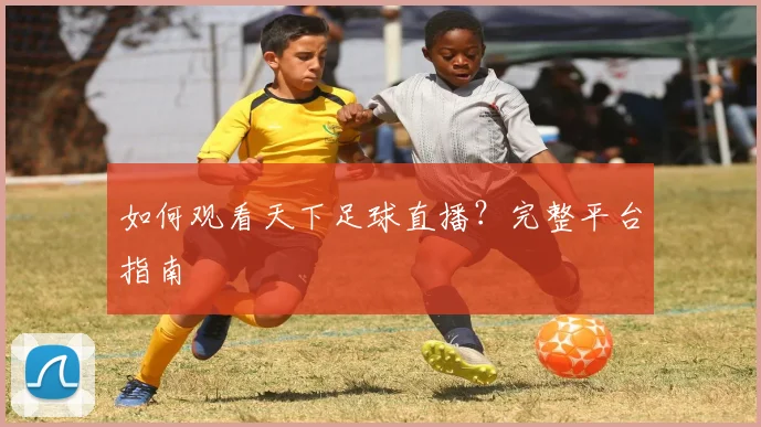 如何观看天下足球直播？完整平台指南